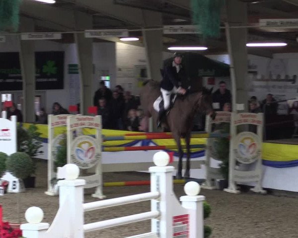Reitturnier Vreden 2016