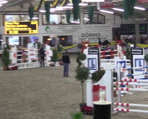 Reitturnier Vreden 2016
