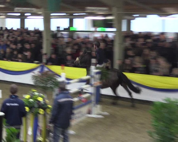 Reitturnier Vreden 2016