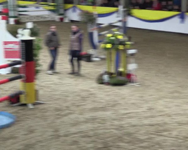 Reitturnier Vreden 2016