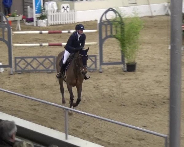 VER-Dinale 2016
