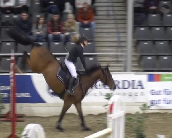 VER-Dinale 2016