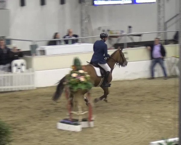 VER-Dinale 2016