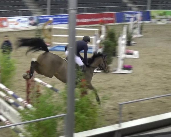 VER-Dinale 2016