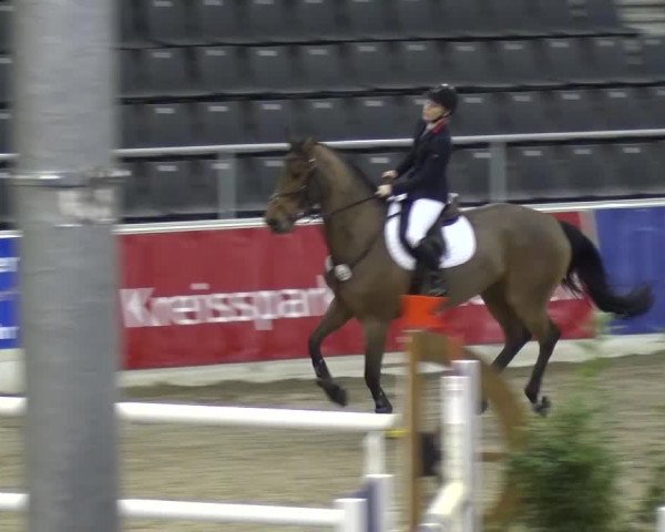 VER-Dinale 2016