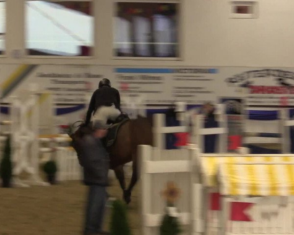 Reitturnier Arnsberg-Voßwinkel 2016