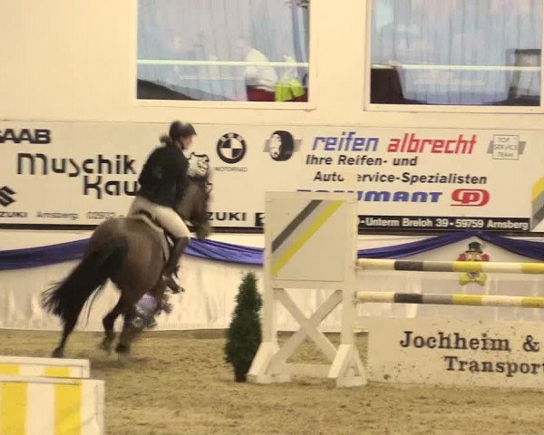 Reitturnier Arnsberg-Voßwinkel 2016