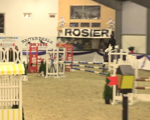 Reitturnier Arnsberg-Voßwinkel 2016