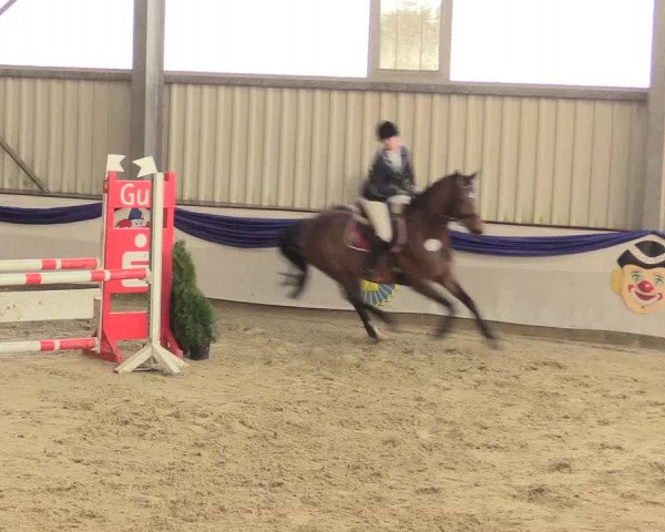 Reitturnier Arnsberg-Voßwinkel 2016