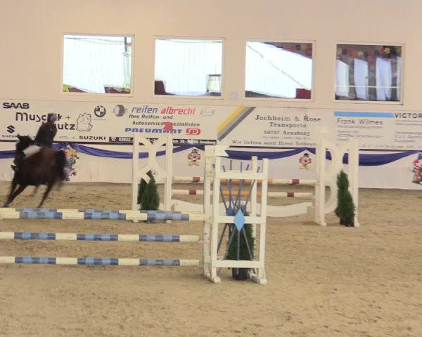 Reitturnier Arnsberg-Voßwinkel 2016