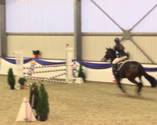 Reitturnier Arnsberg-Voßwinkel 2016