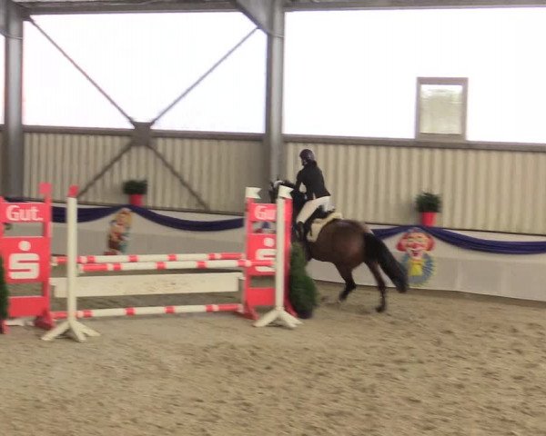 Reitturnier Arnsberg-Voßwinkel 2016