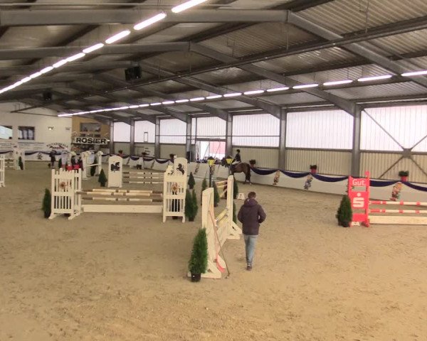 Reitturnier Arnsberg-Voßwinkel 2016