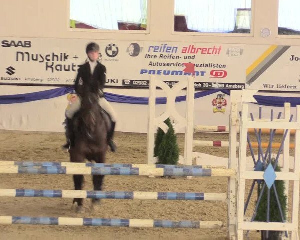 Reitturnier Arnsberg-Voßwinkel 2016