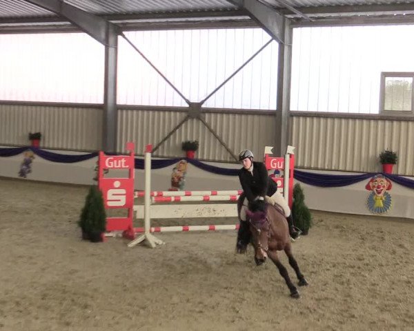 Reitturnier Arnsberg-Voßwinkel 2016