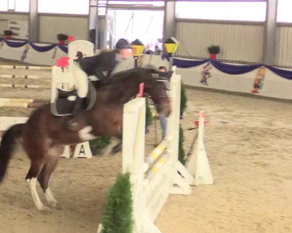 Reitturnier Arnsberg-Voßwinkel 2016