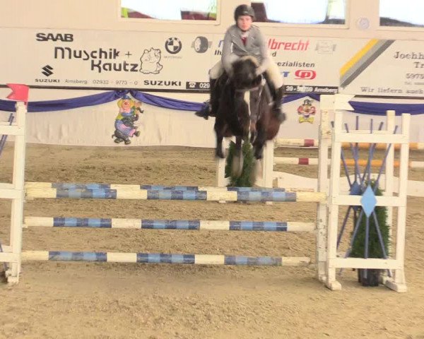 Reitturnier Arnsberg-Voßwinkel 2016