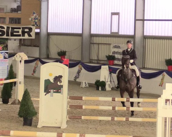 Reitturnier Arnsberg-Voßwinkel 2016