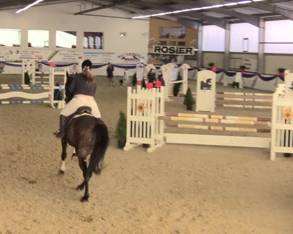 Reitturnier Arnsberg-Voßwinkel 2016
