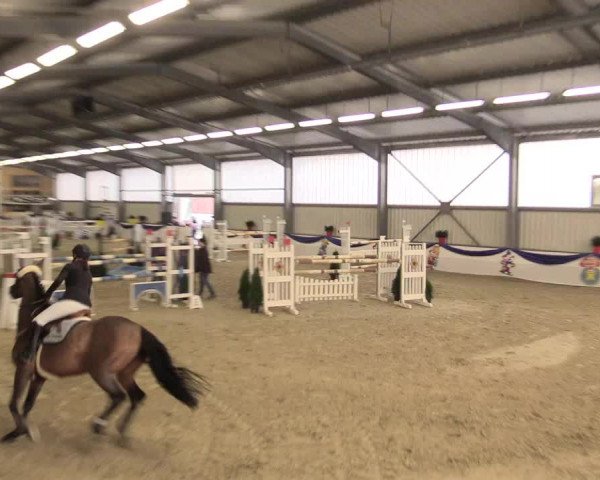 Reitturnier Arnsberg-Voßwinkel 2016