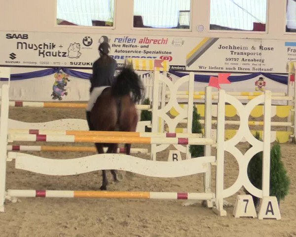 Reitturnier Arnsberg-Voßwinkel 2016
