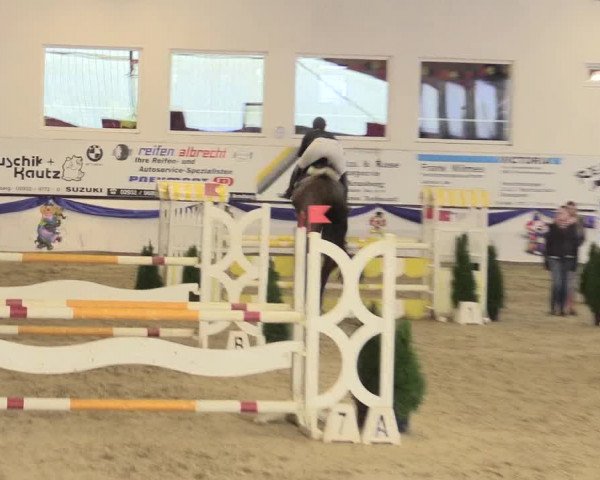 Reitturnier Arnsberg-Voßwinkel 2016