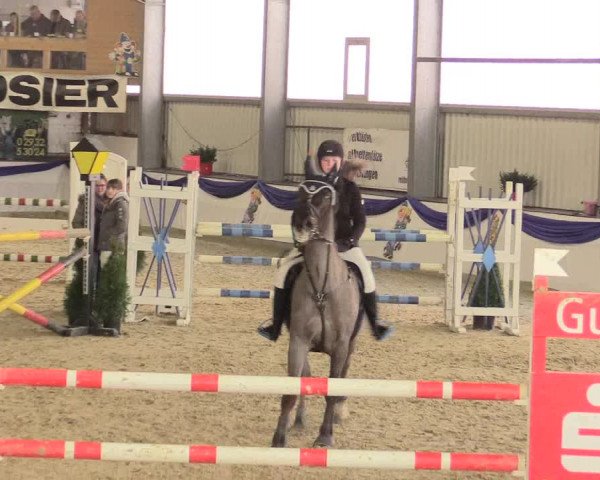 Reitturnier Arnsberg-Voßwinkel 2016