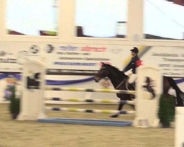 Reitturnier Arnsberg-Voßwinkel 2016