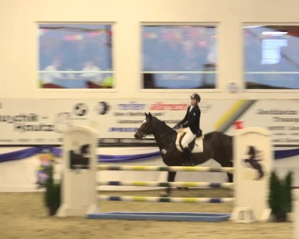 Reitturnier Arnsberg-Voßwinkel 2016