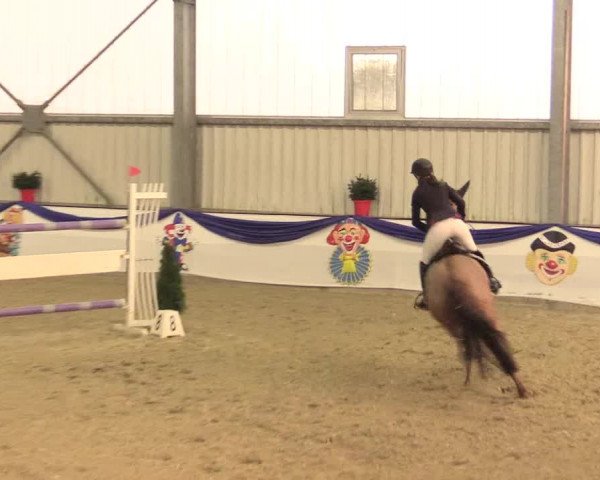 Reitturnier Arnsberg-Voßwinkel 2016