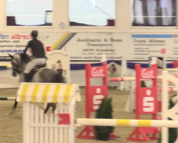 Reitturnier Arnsberg-Voßwinkel 2016