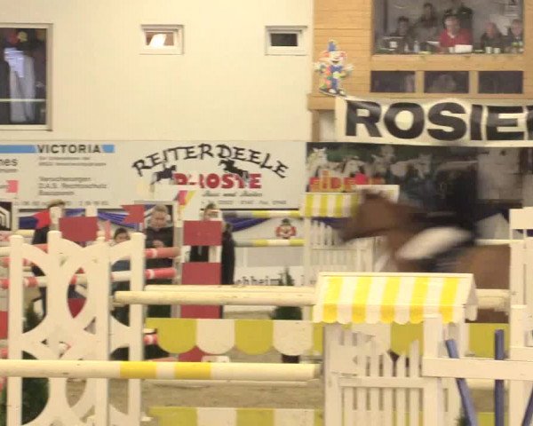Reitturnier Arnsberg-Voßwinkel 2016
