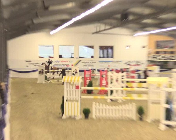 Reitturnier Arnsberg-Voßwinkel 2016