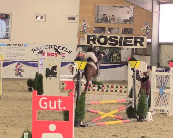 Reitturnier Arnsberg-Voßwinkel 2016