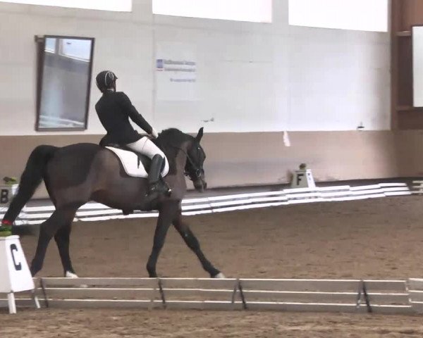 Reitturnier Großostheim 2016