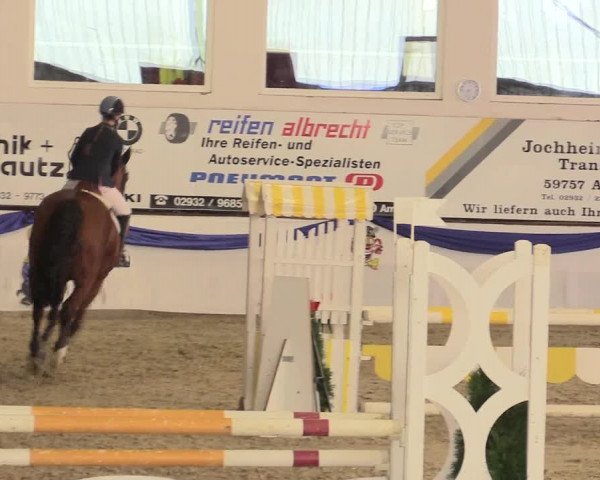 Reitturnier Arnsberg-Voßwinkel 2016