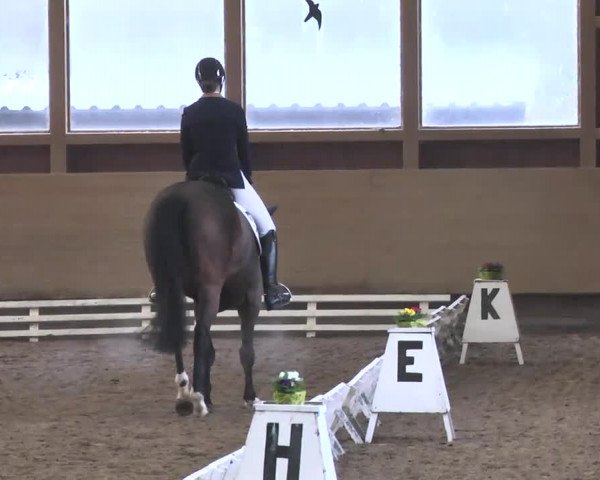 Reitturnier Großostheim 2016