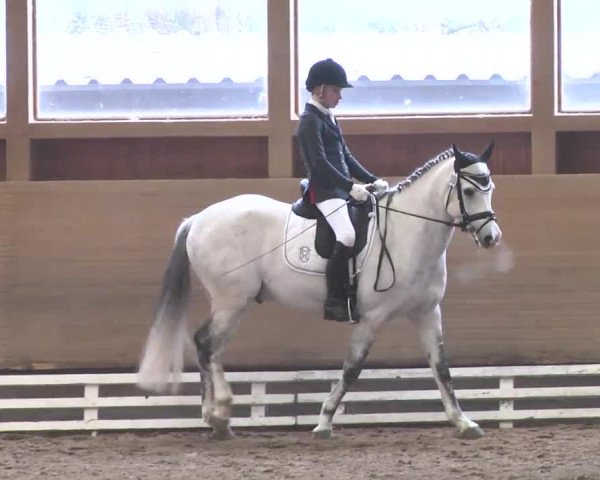 Reitturnier Großostheim 2016