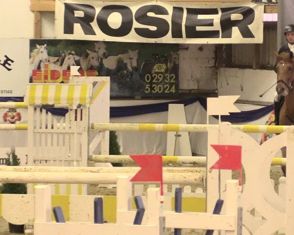 Reitturnier Arnsberg-Voßwinkel 2016