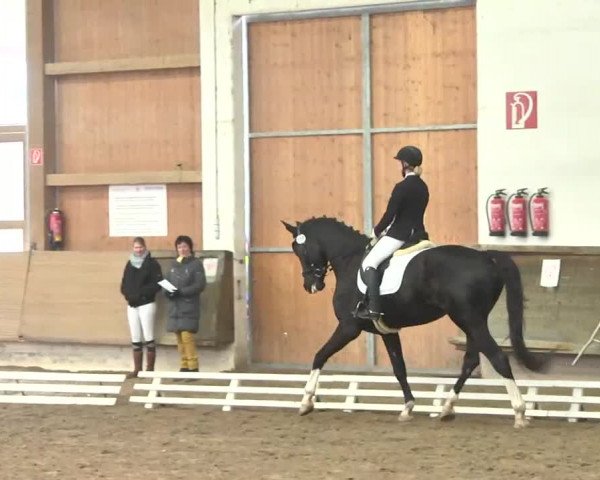 Reitturnier Großostheim 2016
