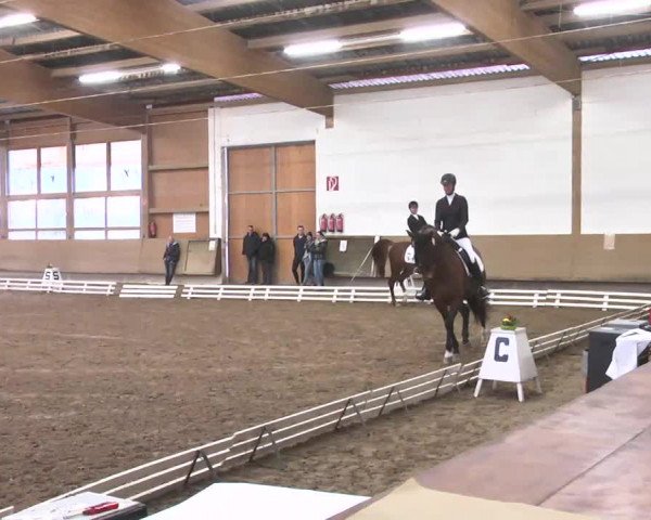 Reitturnier Großostheim 2016