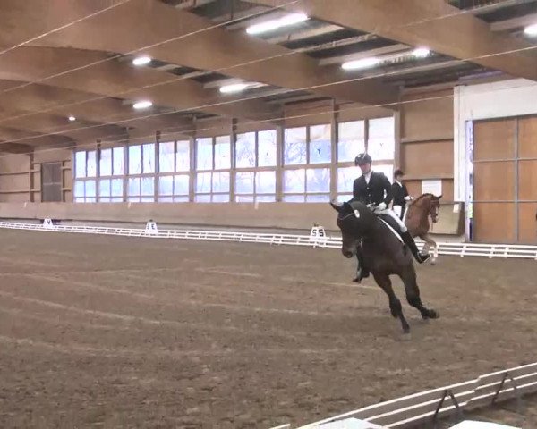 Reitturnier Großostheim 2016