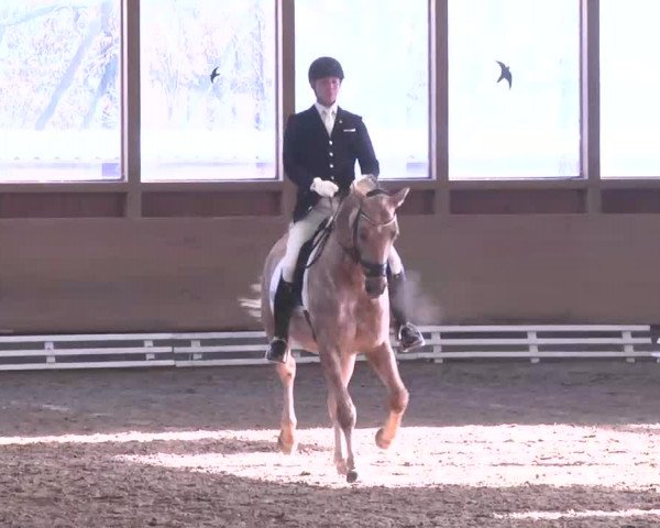 Reitturnier Großostheim 2016