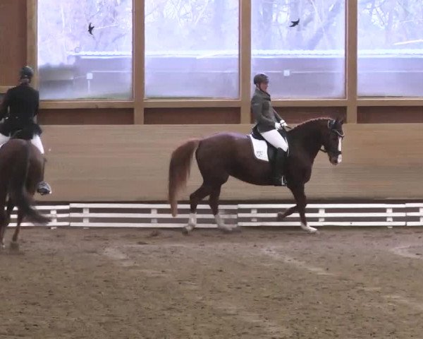Reitturnier Großostheim 2016