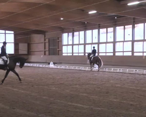 Reitturnier Großostheim 2016