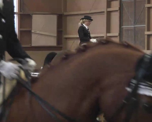 Reitturnier Großostheim 2016