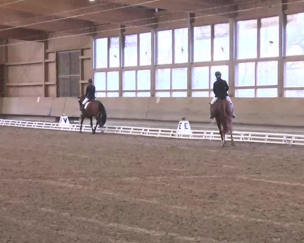 Reitturnier Großostheim 2016