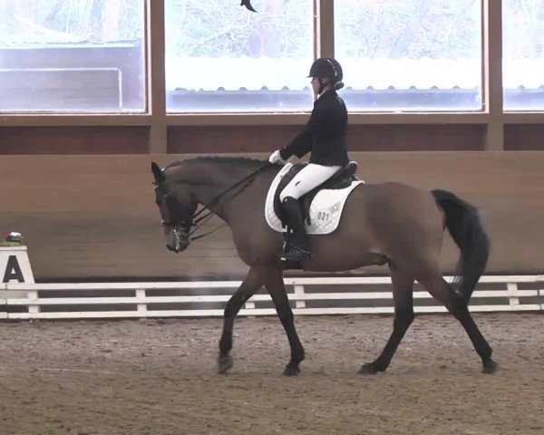 Reitturnier Großostheim 2016