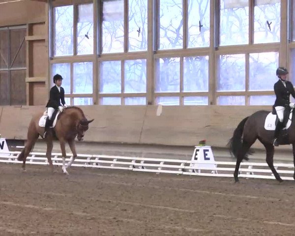Reitturnier Großostheim 2016