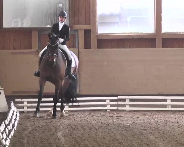 Reitturnier Großostheim 2016
